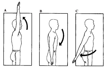 arm shoulder hyperextension movement movements biomechanics hper